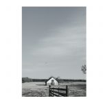 liTtLE bArn, biG sKy